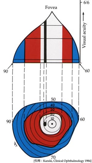 図01 等視力線