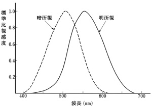 図 05 Purkinje