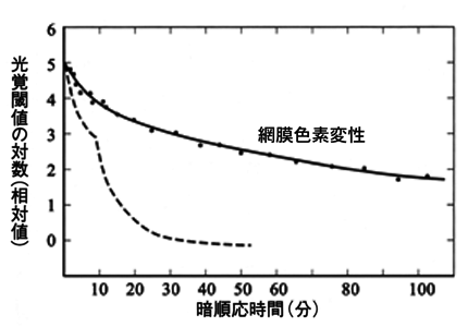 図 02 暗順応