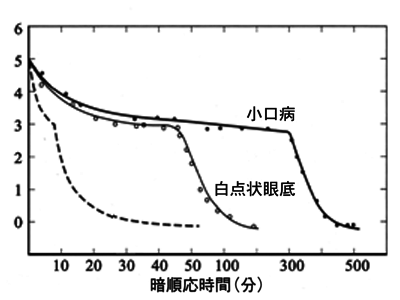 図 03 暗順応