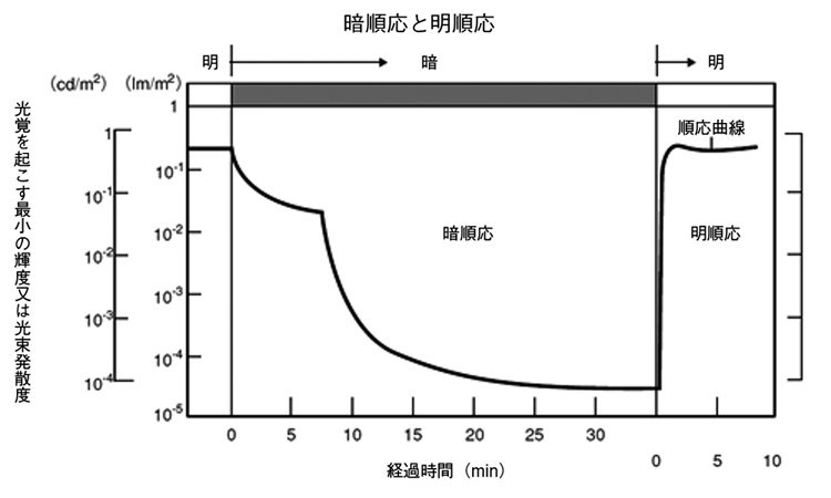 図 05 順応曲線