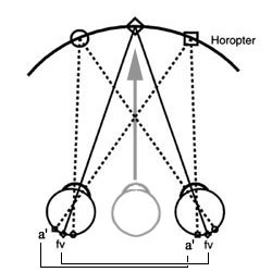 図 04 horopter