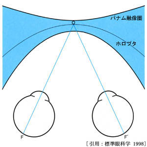 図 05 Panum