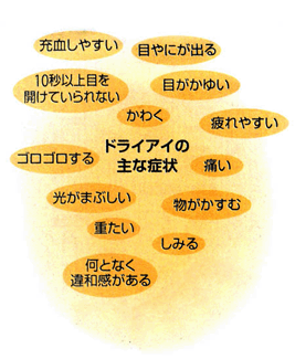 図 01 どらいあい