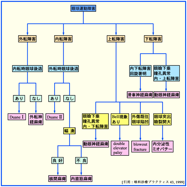 図 02 異常眼球運動