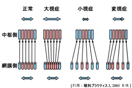 図 01 変視