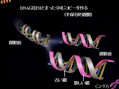 図 06 複製２