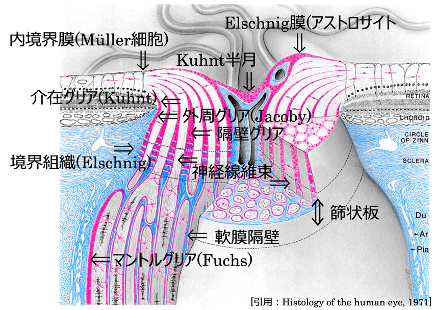 図 12