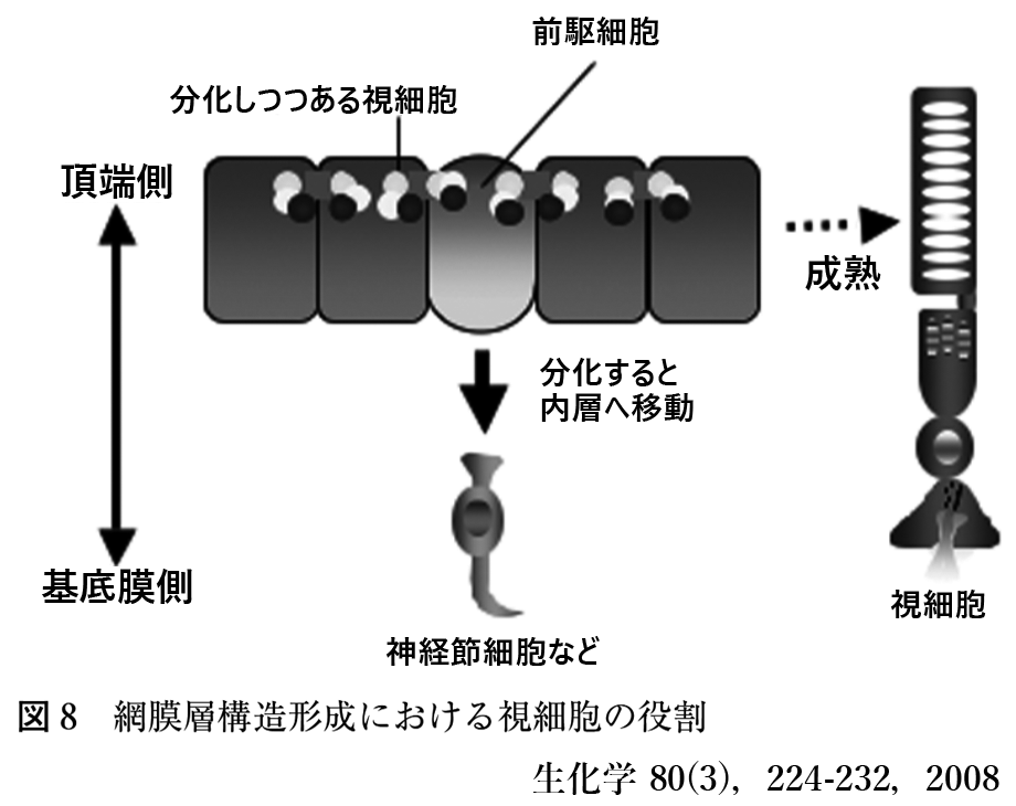 図 15
