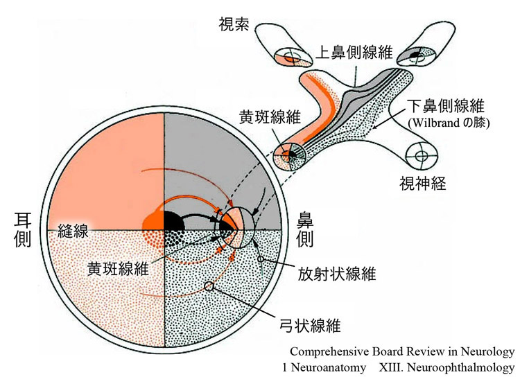 図 補