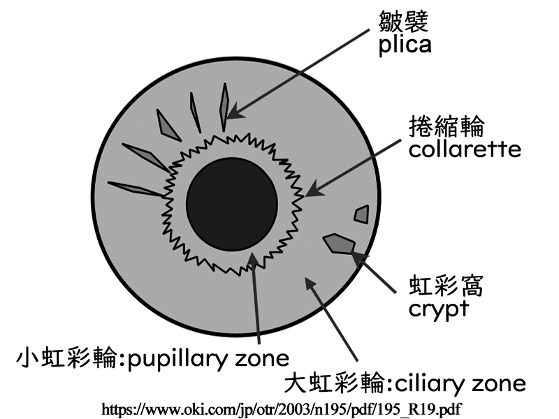 図 補