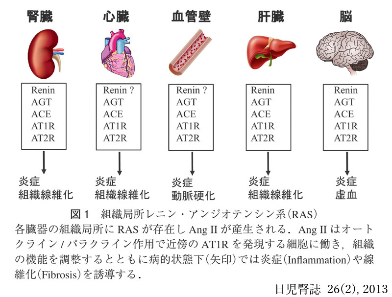 図 補RAS