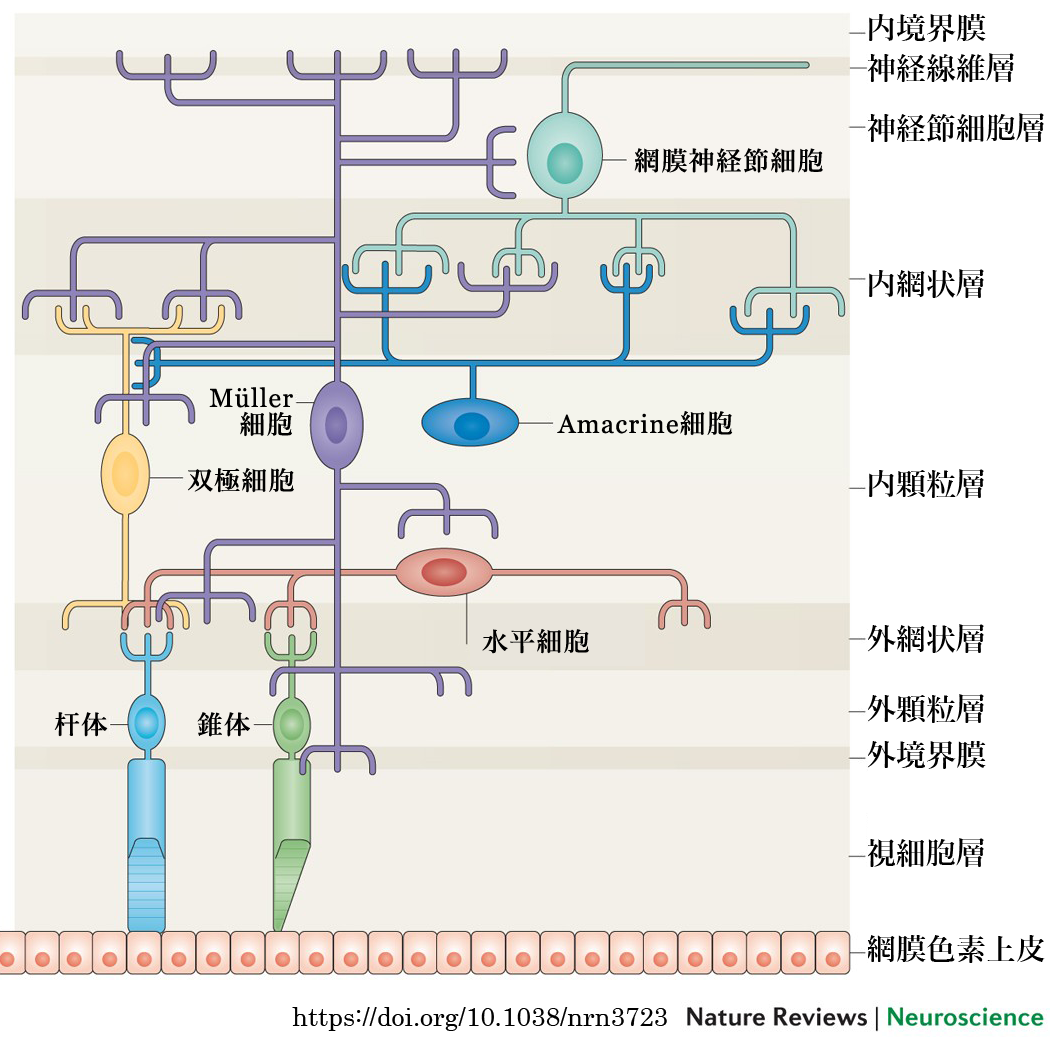 図 06