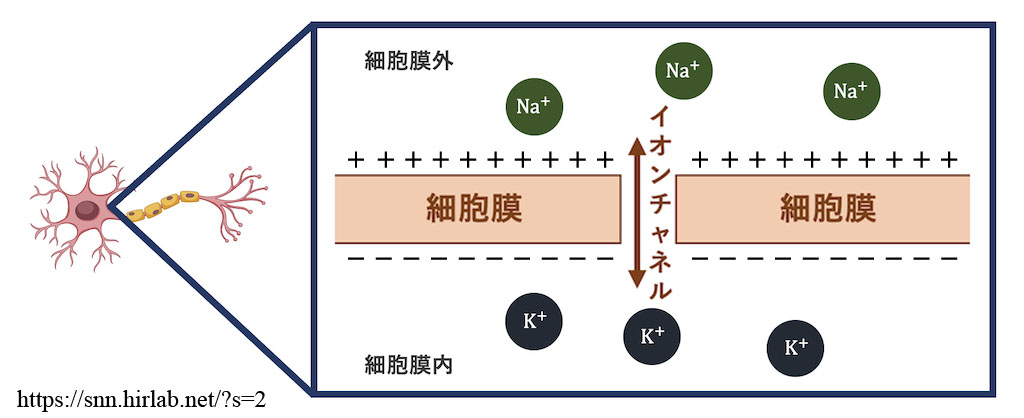 図 補