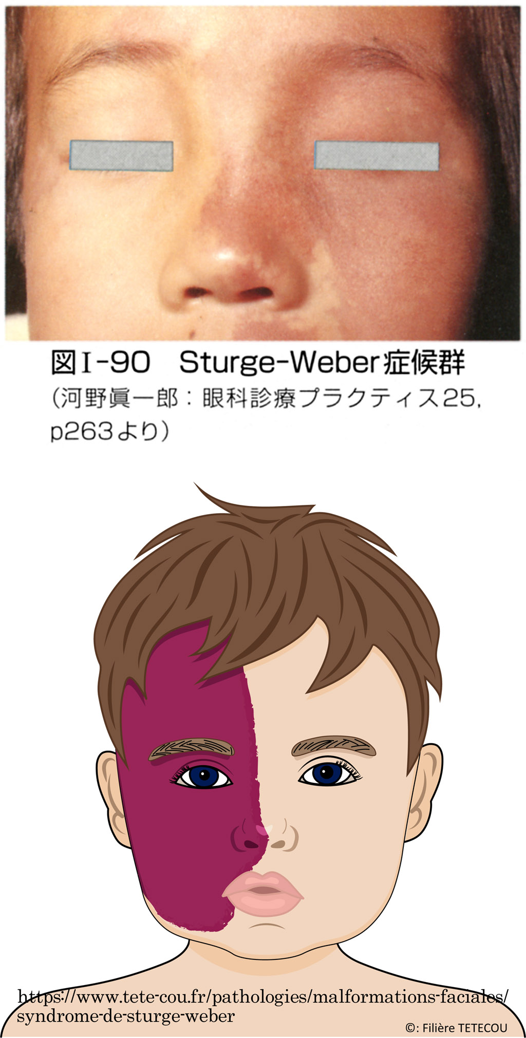 図 補