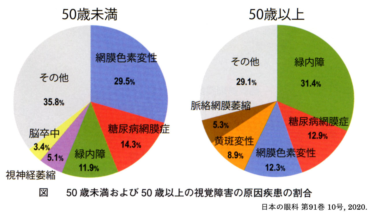 図 補