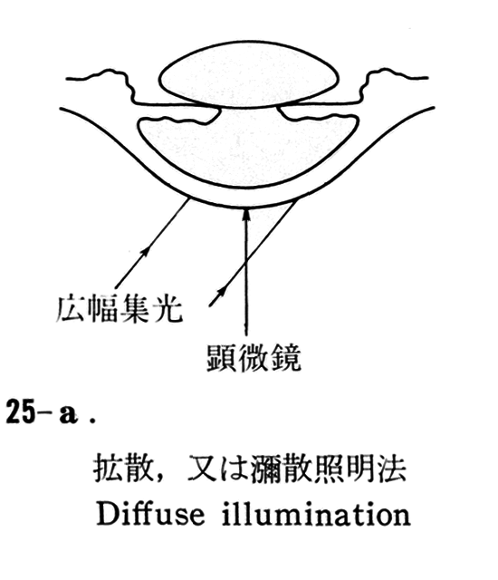 図03