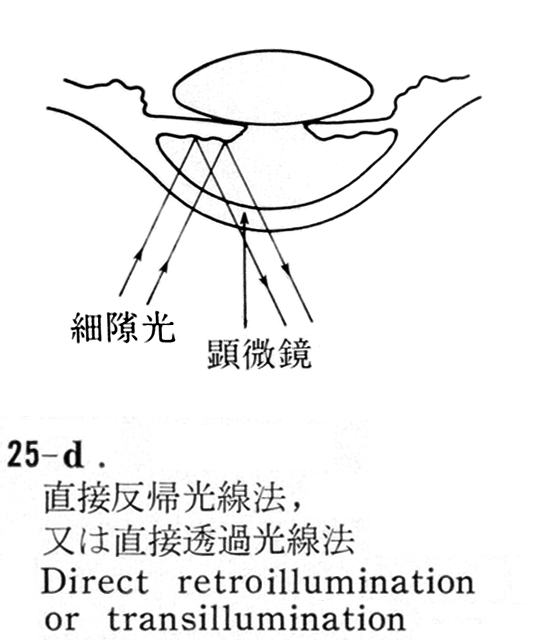 図06