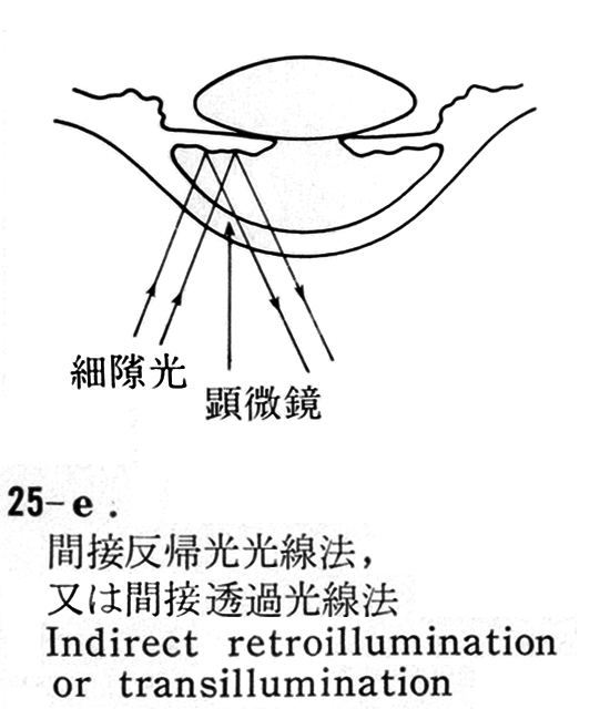 図07