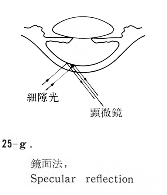 図09