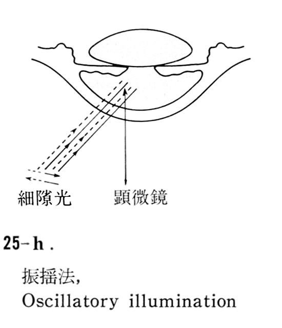 図10