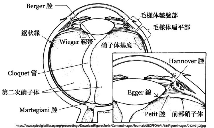 図 補