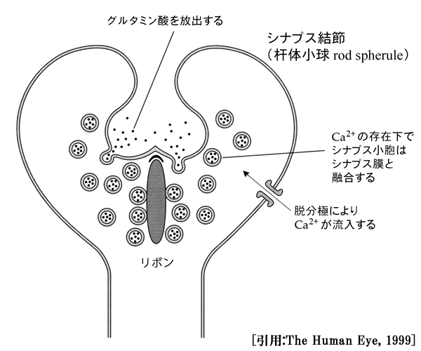 図 19