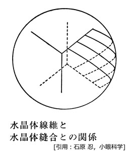 図 24