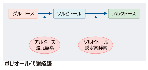 図 補