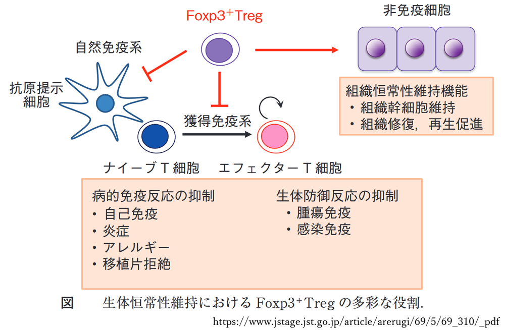 図 補