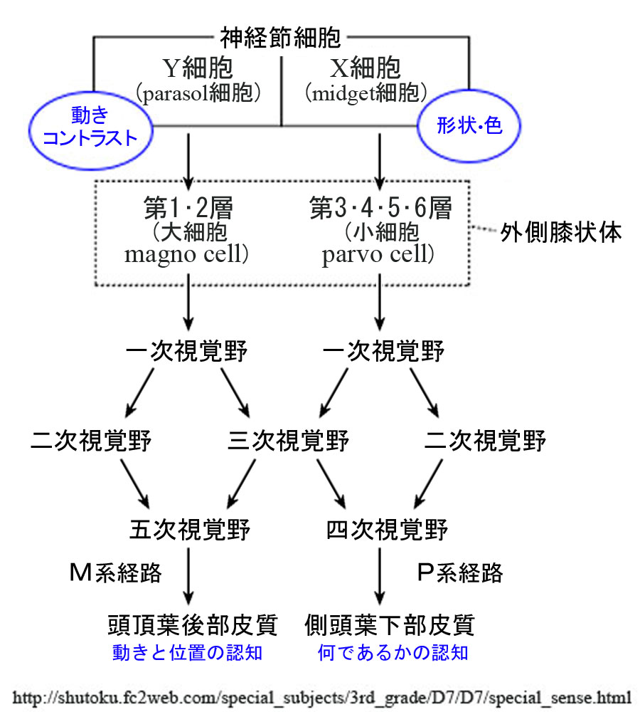 図 補