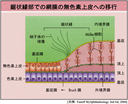 図 02