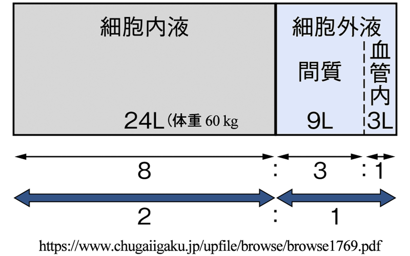 図 補