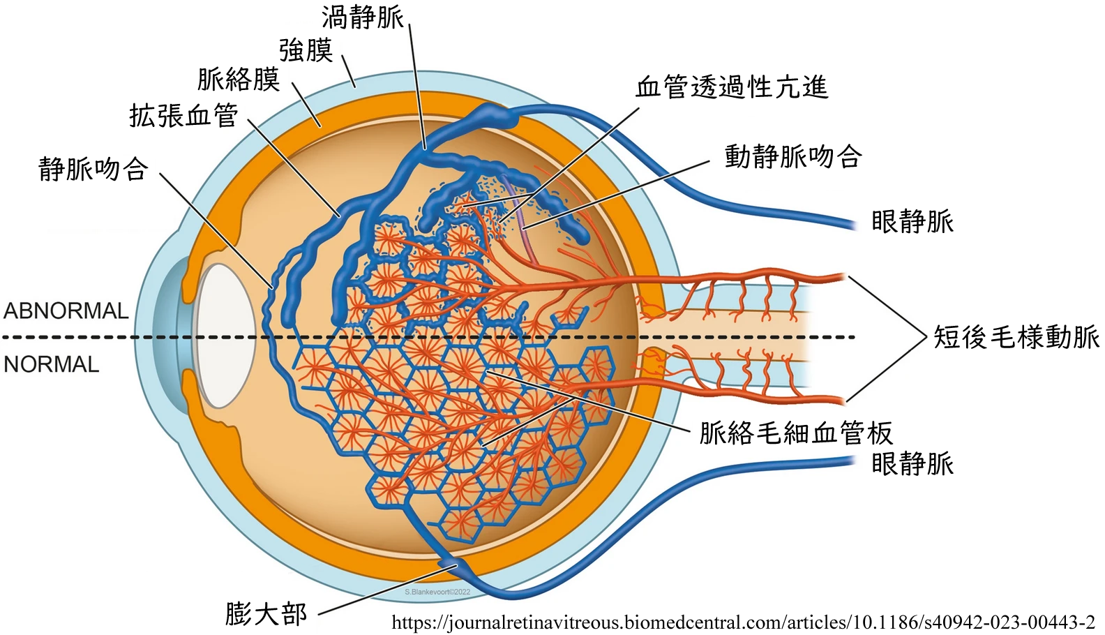 図 補