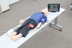 SimJunior